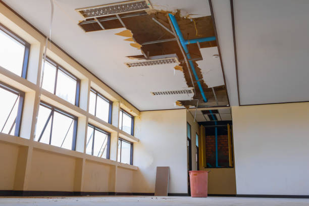 Best Professional water damage repair  in Lake Morton Berrydale, WA
