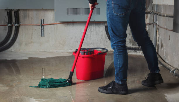 Best 24/7 water damage repair  in Lake Morton Berrydale, WA