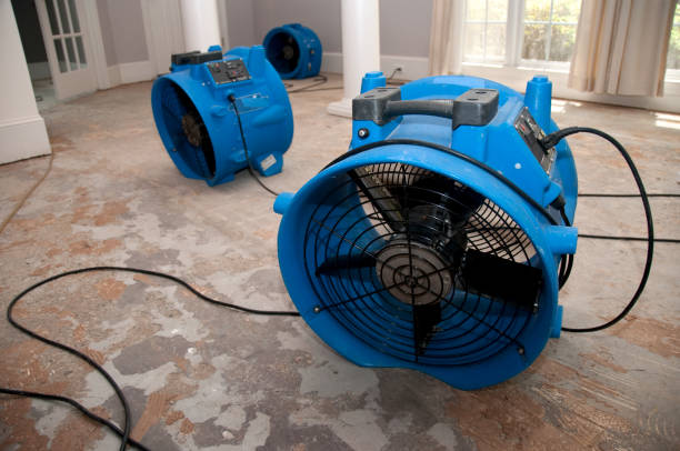 Local water damage restoration in Lake Morton Berrydale, WA