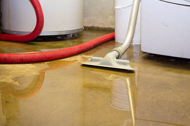 Carpet water damage restoration in Lake Morton Berrydale, WA