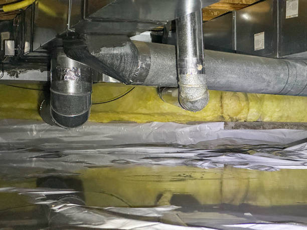 Best Water damage restoration near me  in Lake Morton Berrydale, WA