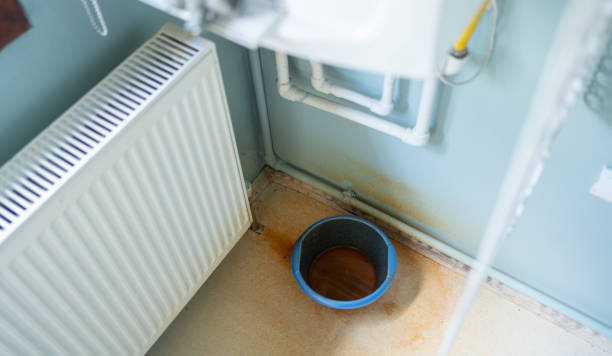 Best Water damage restoration near me  in Lake Morton Berrydale, WA
